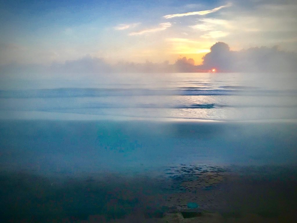 Steamy mornings and sunrises - the view from the bedroom window